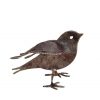 small-wrought iron bird