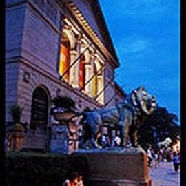 Art Institute of Chicago Under the Lions