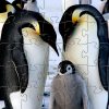 25PC Peapod Emperor Penguin Puzzle