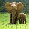 Elephants Teaser Zen Puzzle