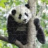 Panda Teaser Zen Puzzle