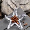 Starfish Dish with nuts