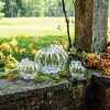 Twisted Vine Pumpkins