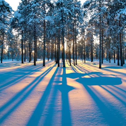 Sunset in a Winter Forest Wooden Jigsaw Puzzle